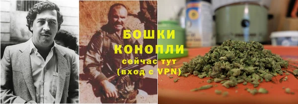 шишки Армянск