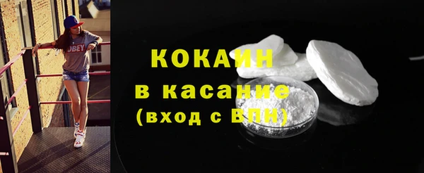 шишки Армянск