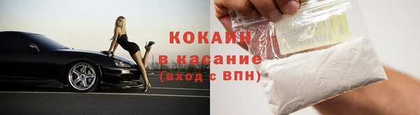 дмт Арсеньев