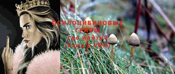 соль ск Аркадак