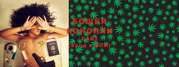 дмт Арсеньев